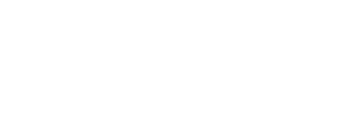 Сидони в Японии (2023)