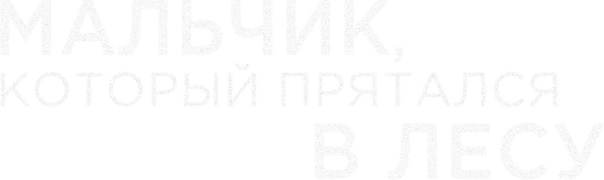 Мальчик, который прятался в лесу (2023)