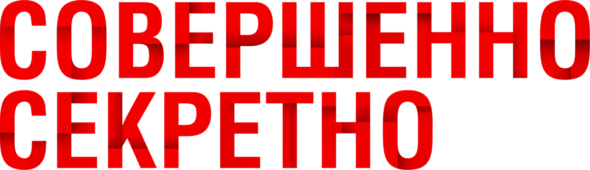 Совершенно секретно (2024)