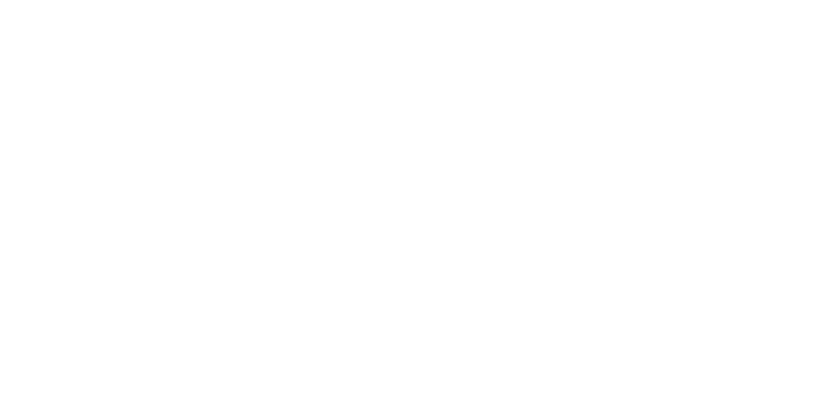 Птица (2024)