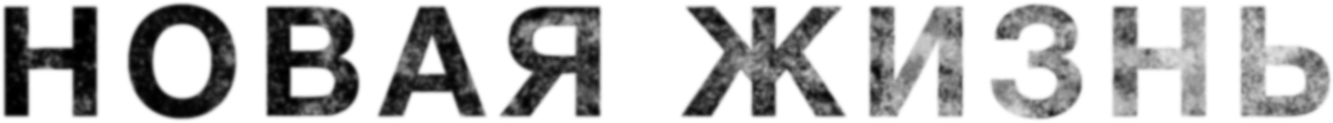 Новая жизнь (2023)