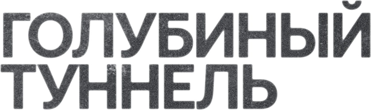 Голубиный туннель (2023)