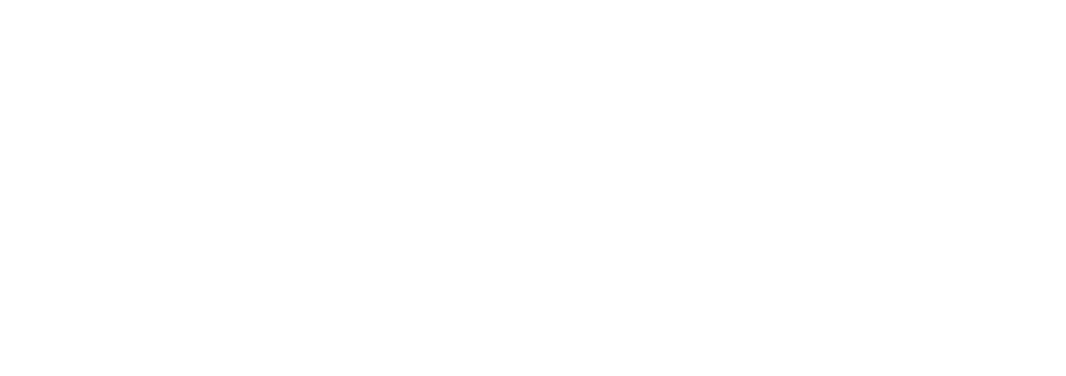 Агент на уикенд (2024)