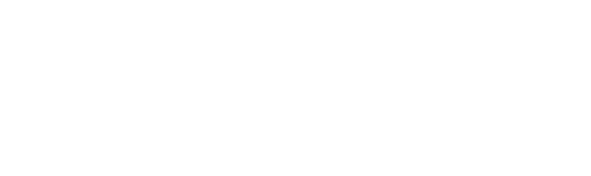 Голландец (2025)