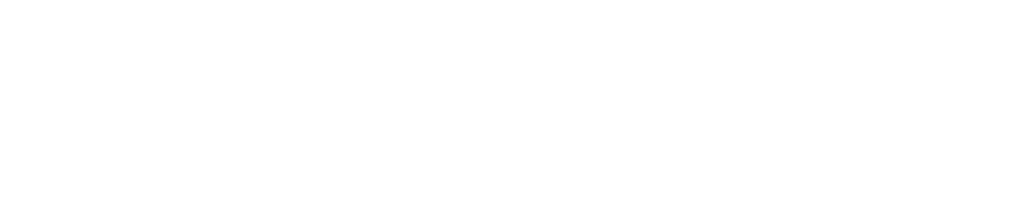 Тайная жизнь орангутанов (2024)