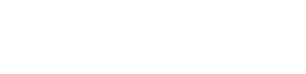 Незваный гость (2024)