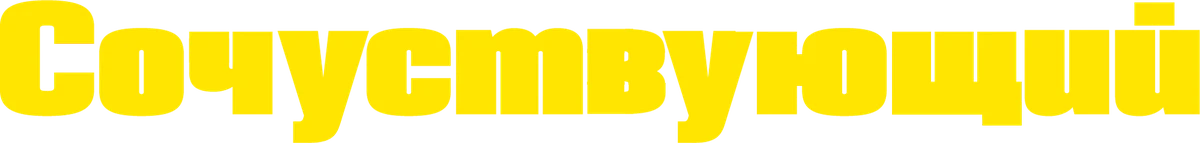 Сочувствующий (2024)
