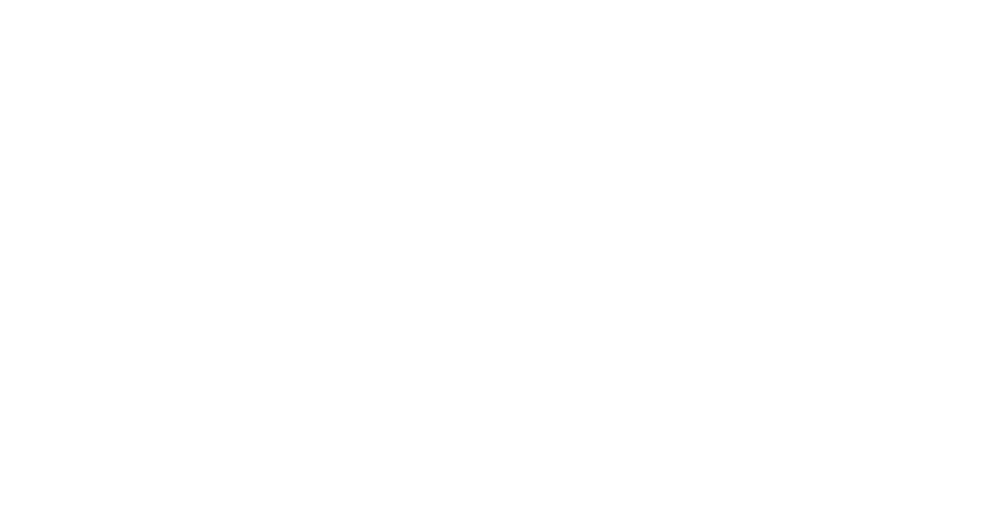 Цитадель: Хани Банни (2024)