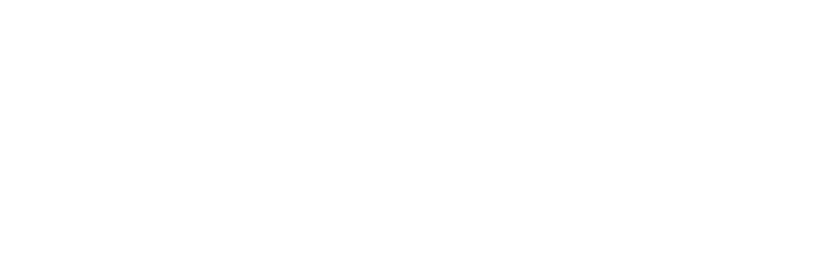 Ночная скорая (2024)
