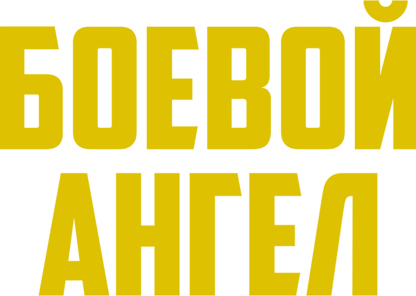Боевой ангел (2024)