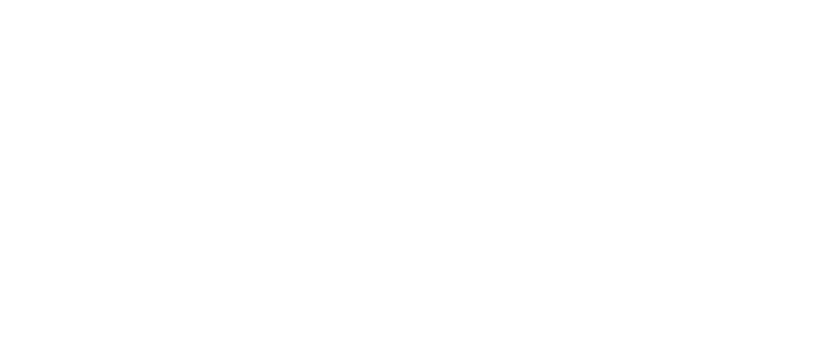 Зорро (2024)