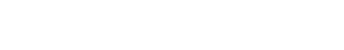 Помешательство (2024)