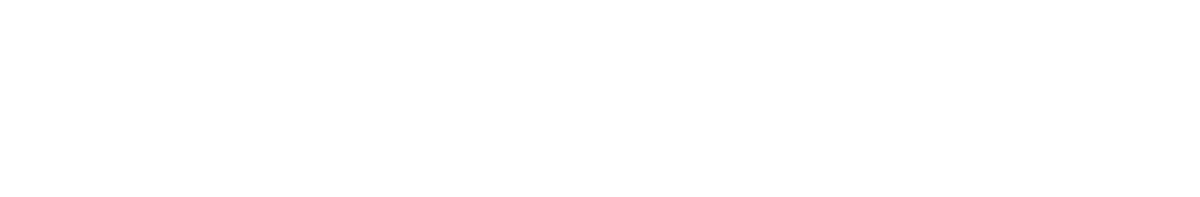 Прошлое (2024)