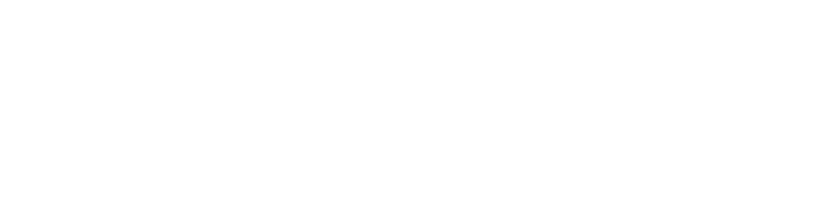 Совы охотятся ночью (2024)