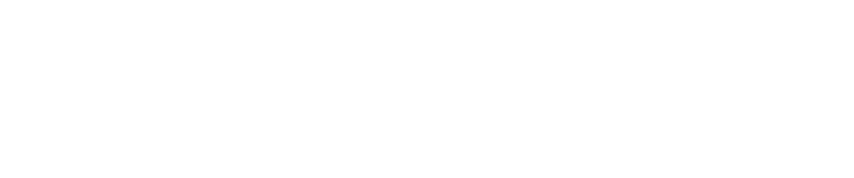 Ночной беглец (2015)