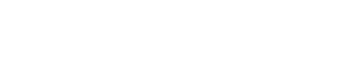 Полное исследование (2024)