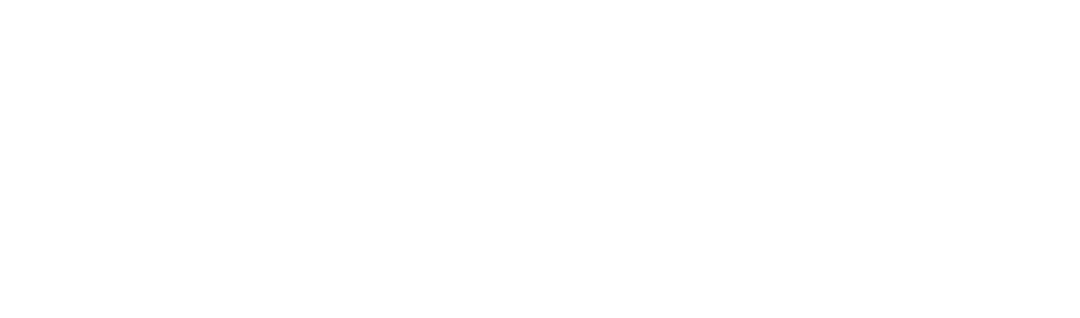 Трасса (2024)