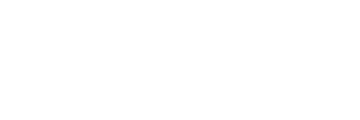Дайте шоу (2024)