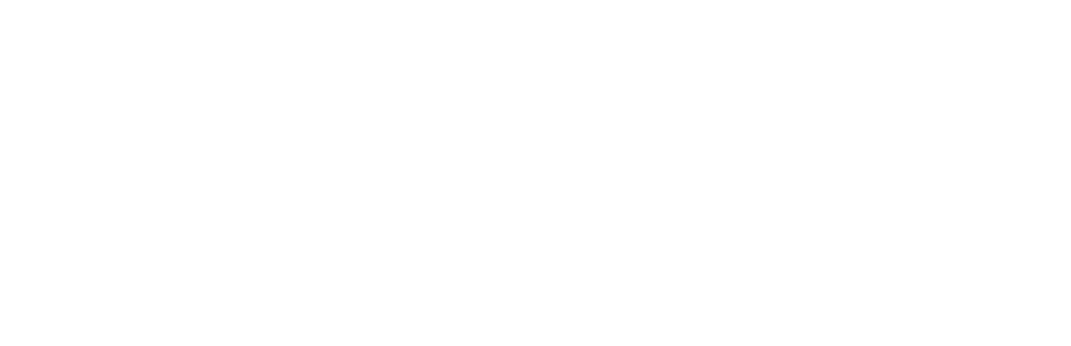 Женщины в синем (2024)