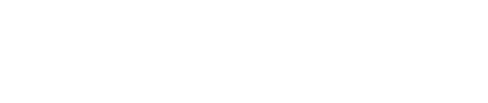 Общественные беспорядки (2025)