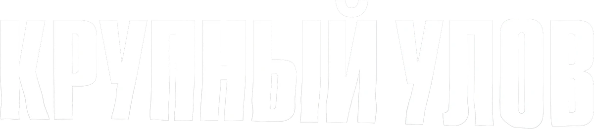 Крупный улов (2023)