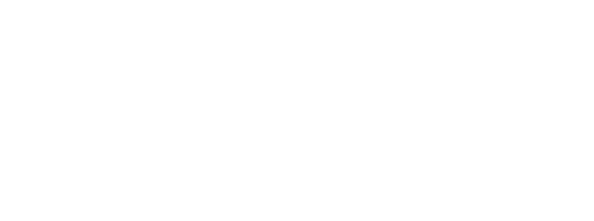 Мальчик и птица (2023)