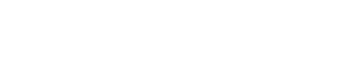 Беглец (2023)