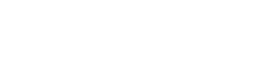 Птичий короб: Барселона (2023)