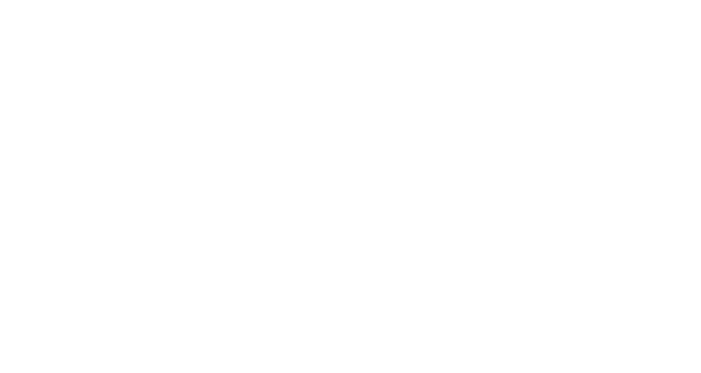 Ответственная гражданка (2023)