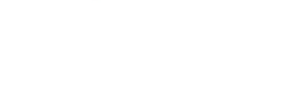 Алиса в Пограничье (2020)