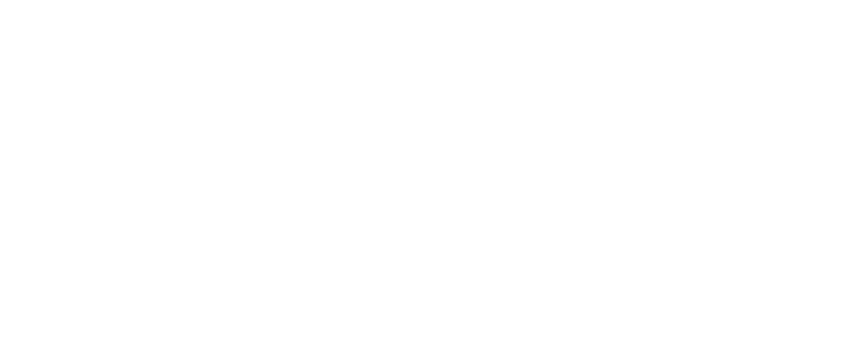 Короли Йоханнесбурга (2020)