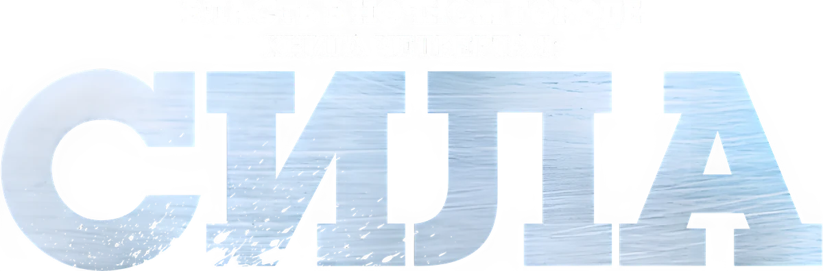Власть в ночном городе. Книга четвертая: Сила (2022)