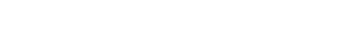 Сороки-убийцы (2022)