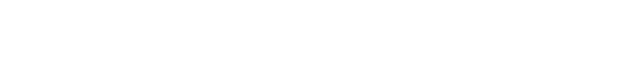 Диктор новостей (2021)