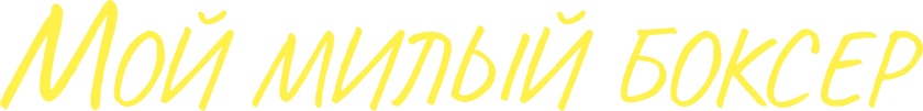Мой милый боксёр (2023)