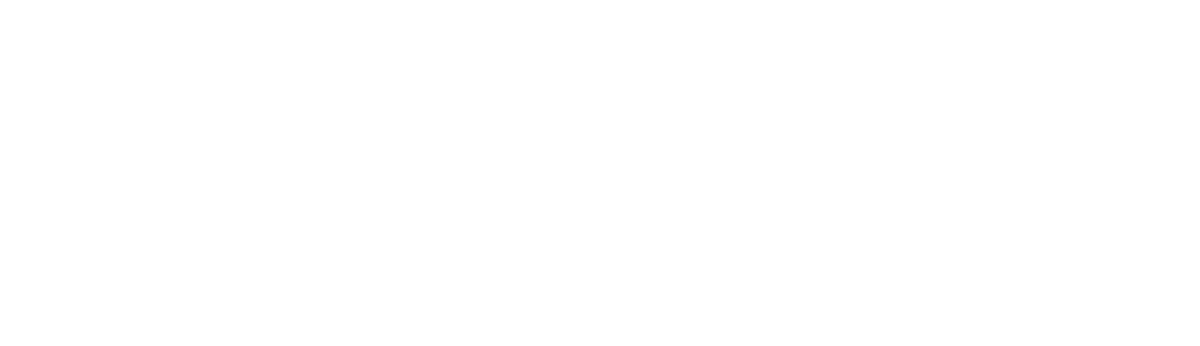 Палмер (2021)