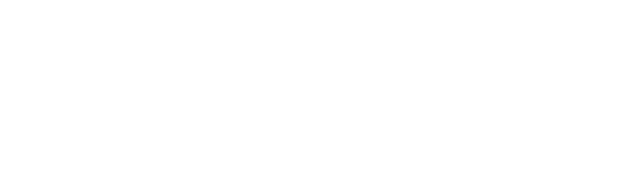 Последний черный в Сан-Франциско (2019)