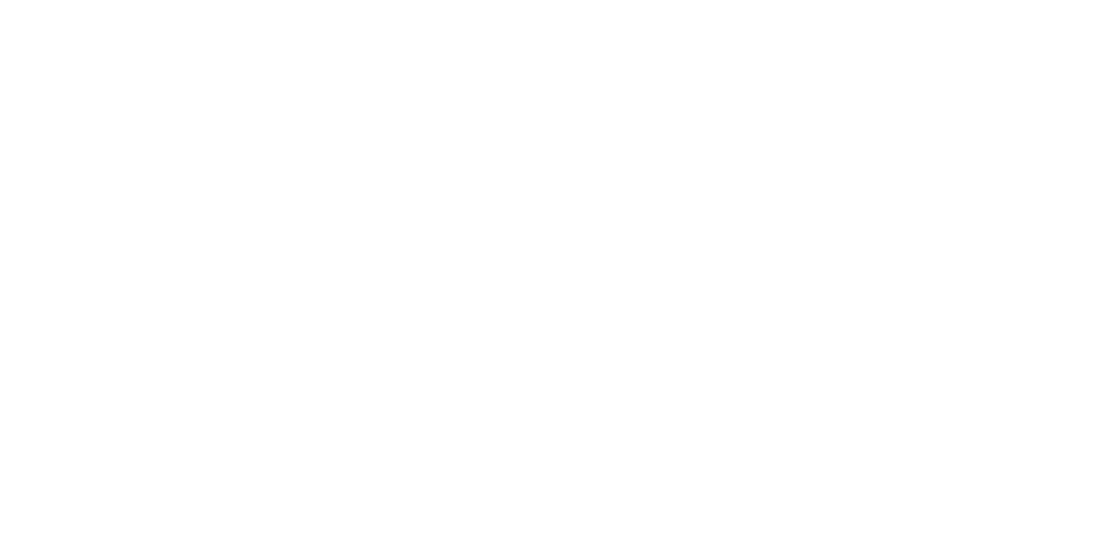 Главная цель (2020)