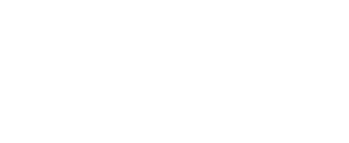 Зять Айкут (2019)