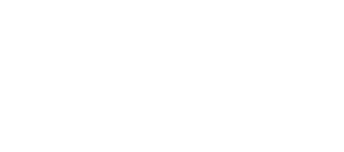 Ассистент звезды (2020)