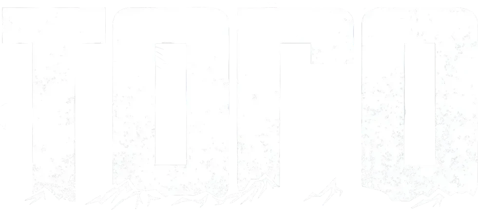 Того (2019)