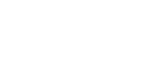 Северный бастион (2020)