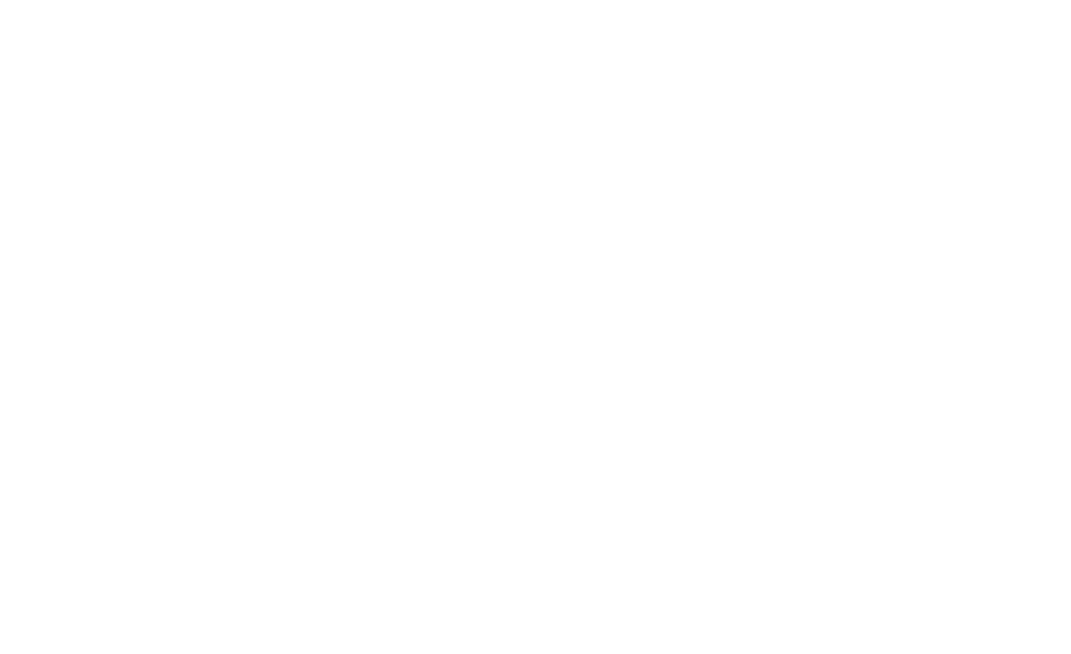 Чёрный ящик (2021)