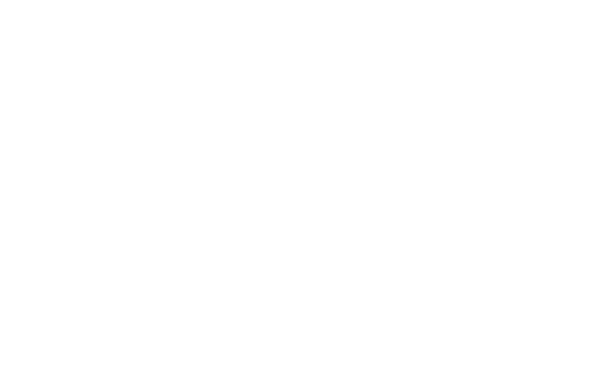 365 дней (2020)