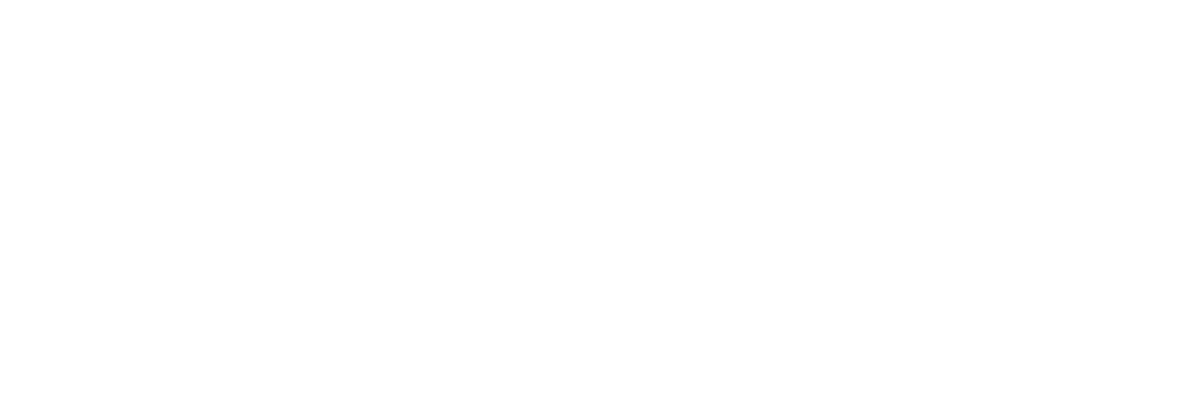 Зенек (2020)