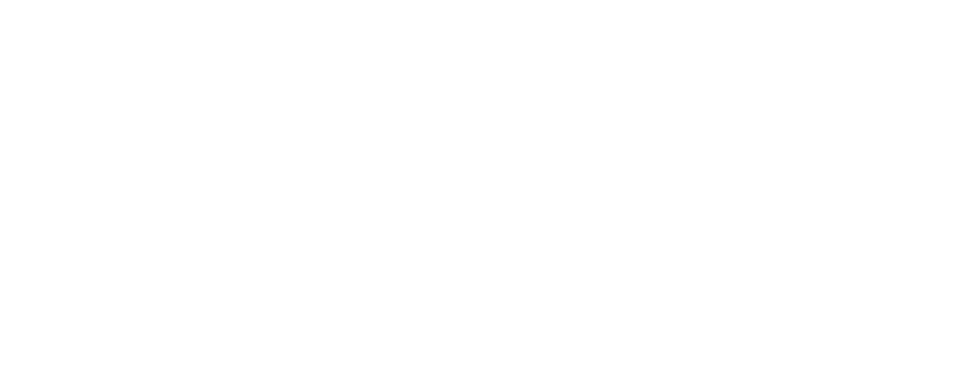 Битва на озере (2021)