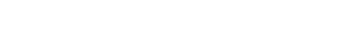 Ночные налётчики (2021)