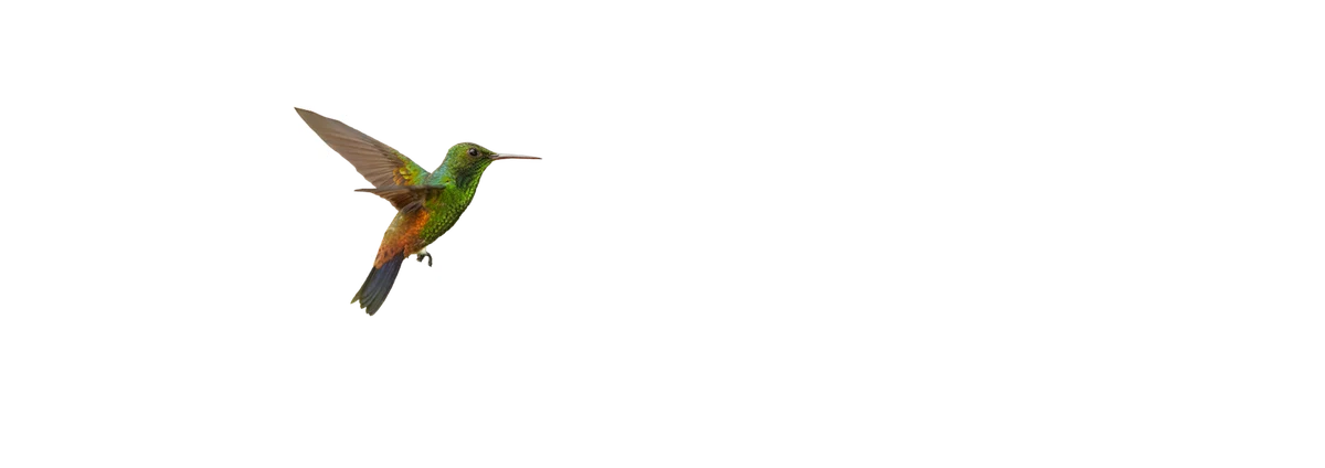 Лучшая жизнь (2022)