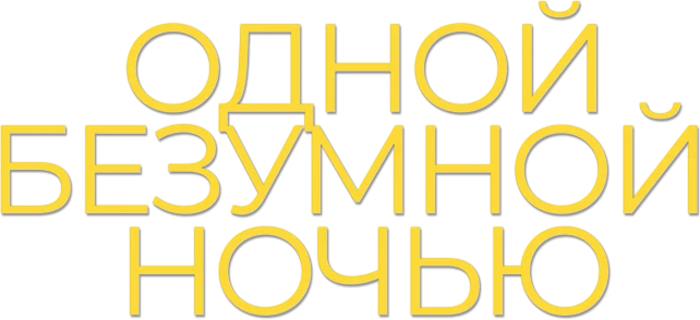 Одной безумной ночью (2023)