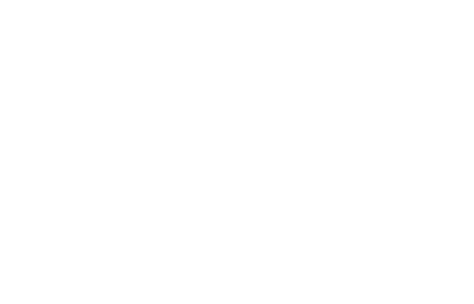 Шпион, которого не было (2022)